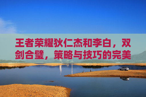 王者荣耀狄仁杰和李白，双剑合璧，策略与技巧的完美结合