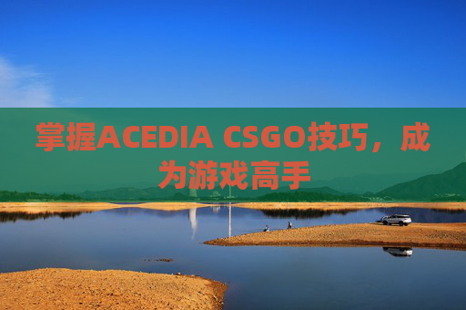 掌握ACEDIA CSGO技巧，成为游戏高手