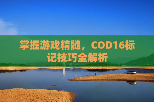掌握游戏精髓，COD16标记技巧全解析