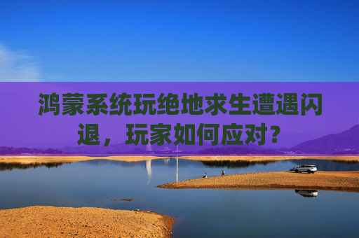 鸿蒙系统玩绝地求生遭遇闪退，玩家如何应对？