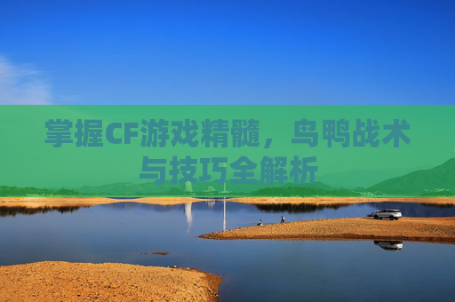 掌握CF游戏精髓，鸟鸭战术与技巧全解析