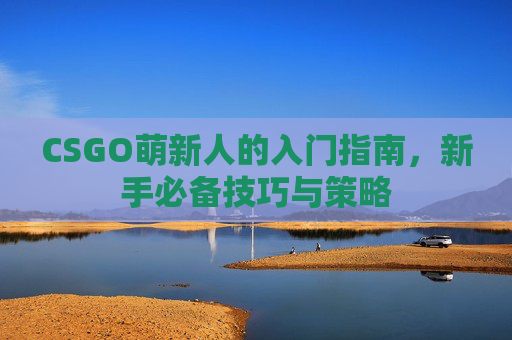 CSGO萌新人的入门指南，新手必备技巧与策略