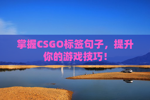 掌握CSGO标签句子，提升你的游戏技巧！