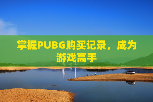 掌握PUBG购买记录，成为游戏高手