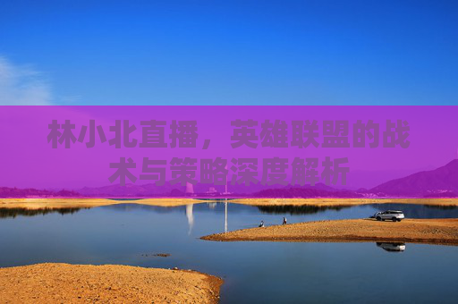 林小北直播,英雄联盟的战术与策略深度解析 林小北直播,英雄联盟的战术与策略深度解析