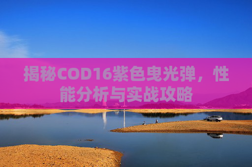 揭秘COD16紫色曳光弹，性能分析与实战攻略