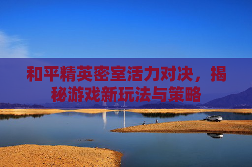 和平精英密室活力对决，揭秘游戏新玩法与策略