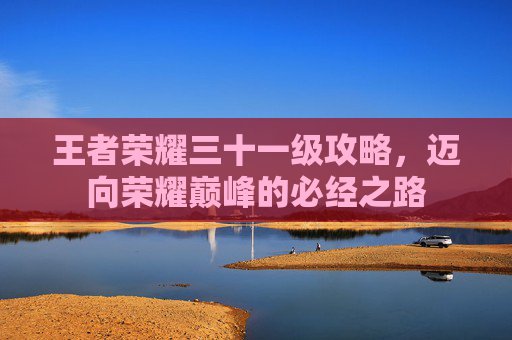 王者荣耀三十一级攻略，迈向荣耀巅峰的必经之路