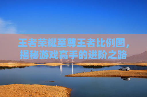 王者荣耀至尊王者比例图，揭秘游戏高手的进阶之路