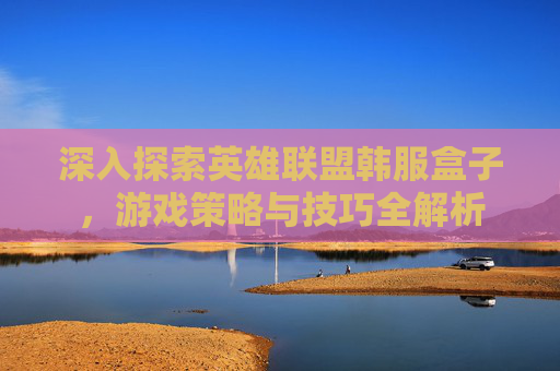 深入探索英雄联盟韩服盒子，游戏策略与技巧全解析