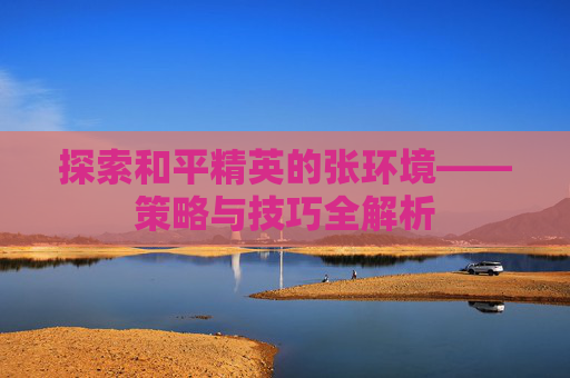 探索和平精英的张环境——策略与技巧全解析
