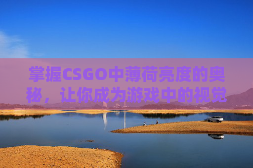 掌握CSGO中薄荷亮度的奥秘，让你成为游戏中的视觉大师