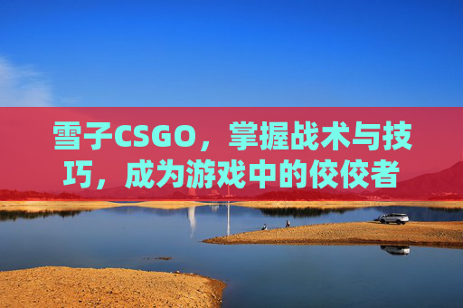 雪子CSGO,掌握战术与技巧,成为游戏中的佼佼者 雪子CSGO,掌握战术与技巧,成为游戏中的佼佼者