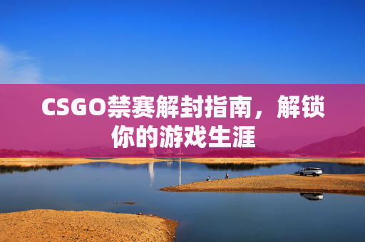 CSGO禁赛解封指南,解锁你的游戏生涯 CSGO禁赛解封指南,解锁你的游戏生涯