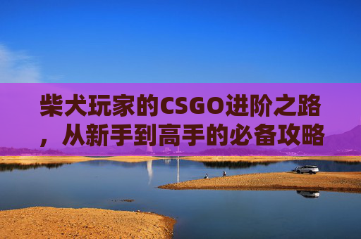 柴犬玩家的CSGO进阶之路,从新手到高手的必备攻略 柴犬玩家的CSGO进阶之路,从新手到高手的必备攻略