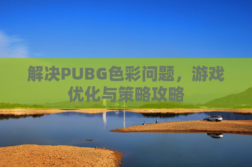 解决PUBG色彩问题，游戏优化与策略攻略