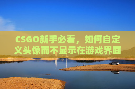 CSGO新手必看,如何自定义头像而不显示在游戏界面上 CSGO新手必看,如何自定义头像而不显示在游戏界面上