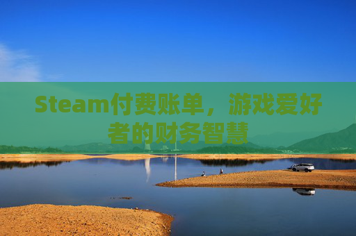 Steam付费账单，游戏爱好者的财务智慧