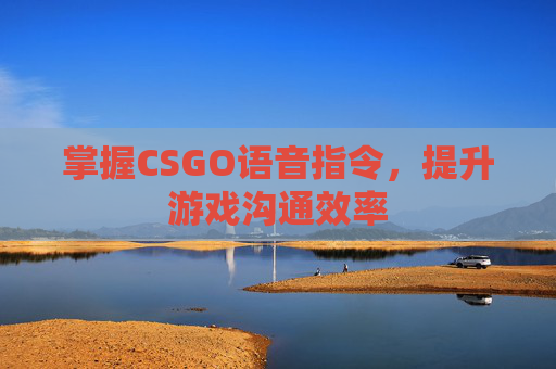 掌握CSGO语音指令，提升游戏沟通效率