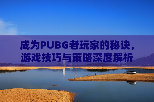 成为PUBG老玩家的秘诀，游戏技巧与策略深度解析