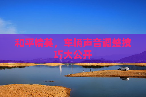 和平精英，车辆声音调整技巧大公开