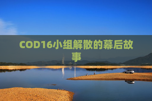 COD16小组解散的幕后故事