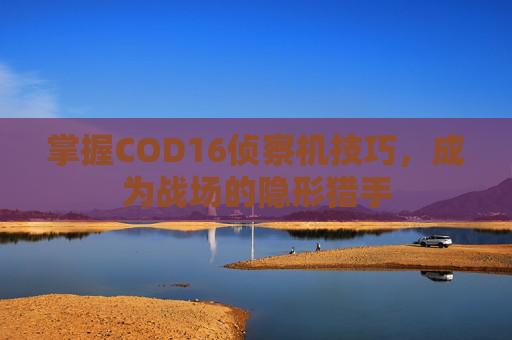 掌握COD16侦察机技巧,成为战场的隐形猎手 掌握COD16侦察机技巧,成为战场的隐形猎手