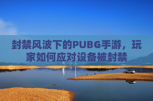 封禁风波下的PUBG手游，玩家如何应对设备被封禁