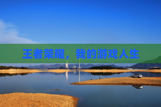 王者荣耀，我的游戏人生