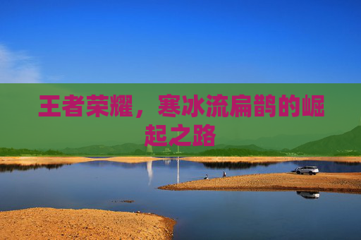 王者荣耀，寒冰流扁鹊的崛起之路