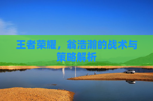 王者荣耀，翁浩瀚的战术与策略解析
