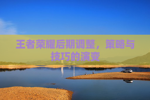 王者荣耀后期调整,策略与技巧的演变 王者荣耀后期调整,策略与技巧的演变