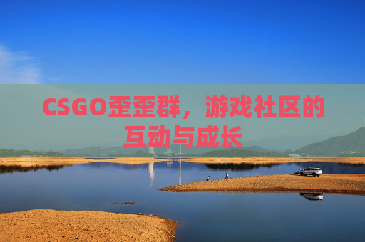 CSGO歪歪群，游戏社区的互动与成长