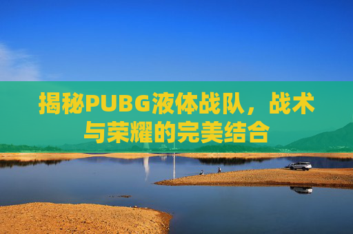 揭秘PUBG液体战队，战术与荣耀的完美结合
