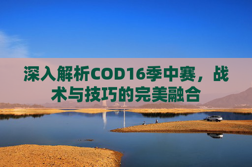 深入解析COD16季中赛，战术与技巧的完美融合