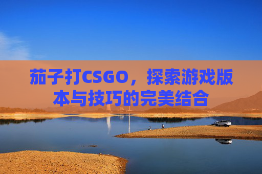 茄子打CSGO，探索游戏版本与技巧的完美结合