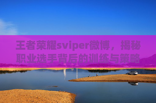 王者荣耀sviper微博，揭秘职业选手背后的训练与策略