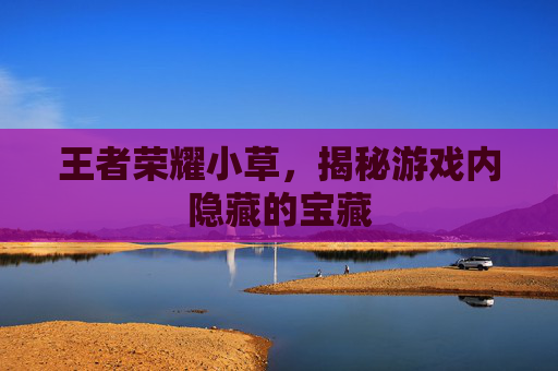 王者荣耀小草,揭秘游戏内隐藏的宝藏 王者荣耀小草,揭秘游戏内隐藏的宝藏
