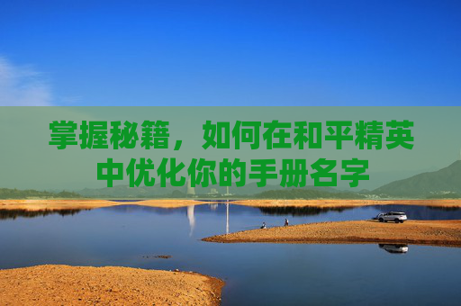 掌握秘籍，如何在和平精英中优化你的手册名字