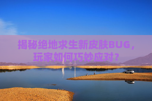 揭秘绝地求生新皮肤BUG，玩家如何巧妙应对？