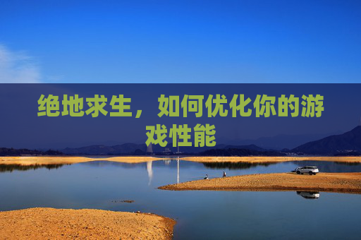 绝地求生，如何优化你的游戏性能