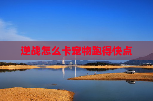逆战怎么卡宠物跑得快点