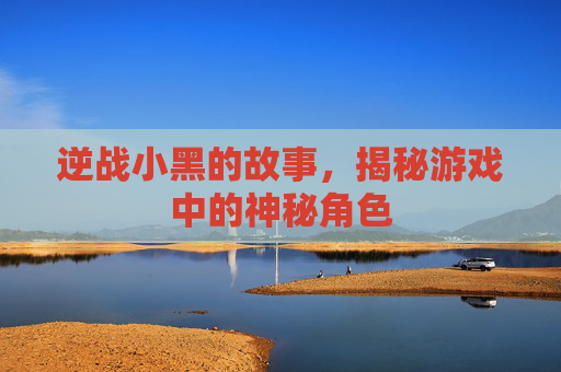 逆战小黑的故事,揭秘游戏中的神秘角色 逆战小黑的故事,揭秘游戏中的神秘角色