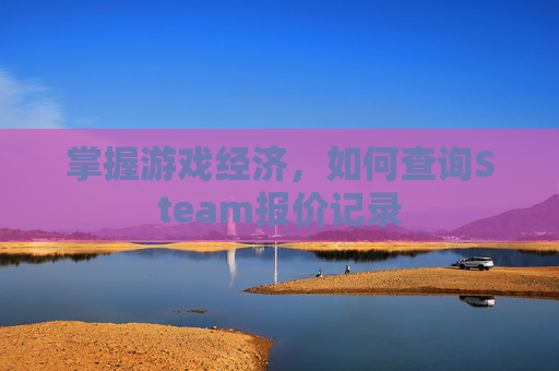 掌握游戏经济，如何查询Steam报价记录