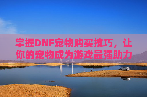 掌握DNF宠物购买技巧,让你的宠物成为游戏最强助力 掌握DNF宠物购买技巧,让你的宠物成为游戏最强助力