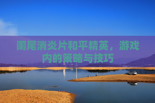 阑尾消炎片和平精英，游戏内的策略与技巧