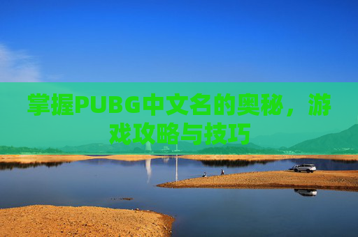 掌握PUBG中文名的奥秘，游戏攻略与技巧