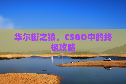 华尔街之狼，CSGO中的终极攻略