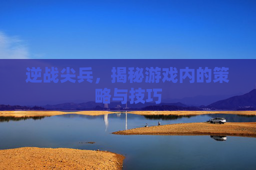 逆战尖兵，揭秘游戏内的策略与技巧