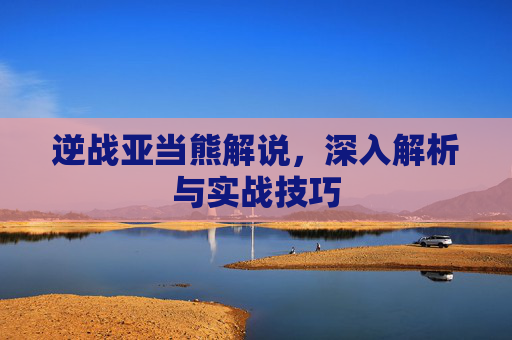 逆战亚当熊解说，深入解析与实战技巧